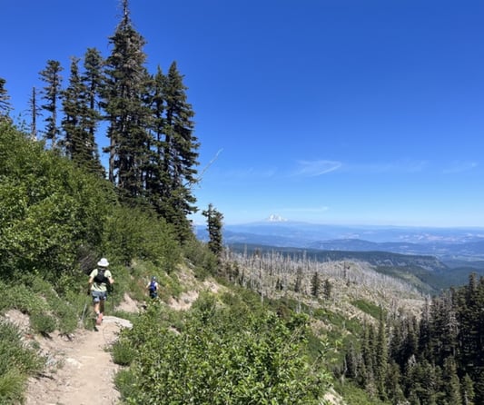 Zeb running on ridge